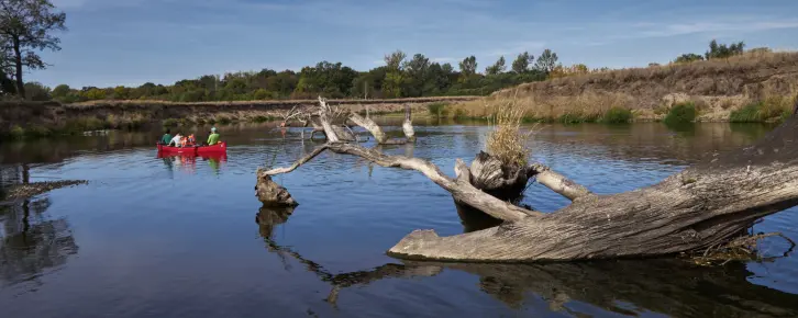 Fluss mit totem Baum im Vordergrund, hinten ein Kanu.